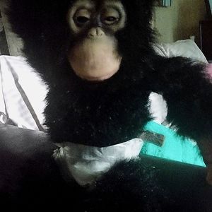 Baby Orangutan Realistic